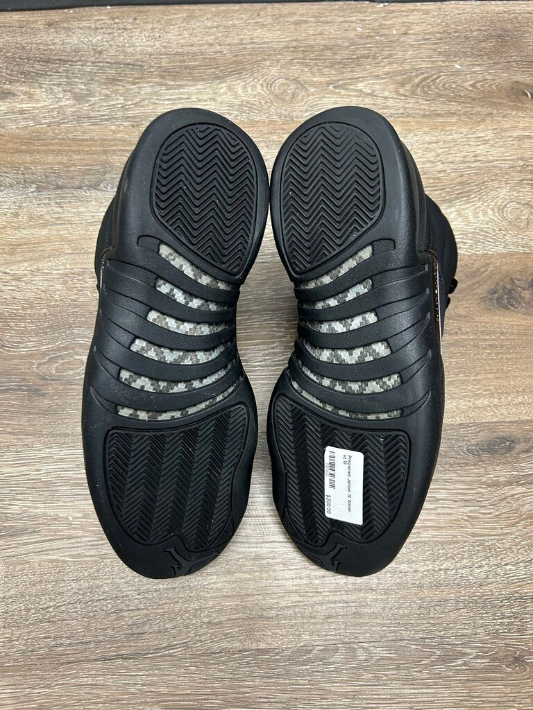 Preowned Jordan 12 Winter sz.10