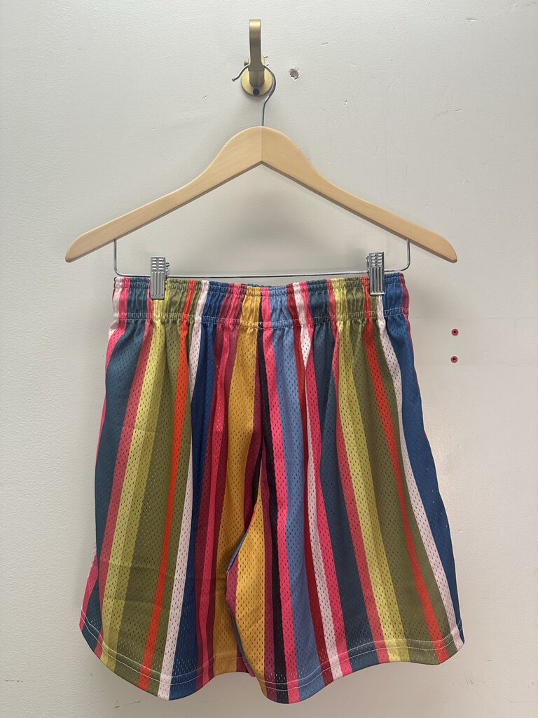 New Eric Emanuel Multi Color Stripe Shorts Size Medium