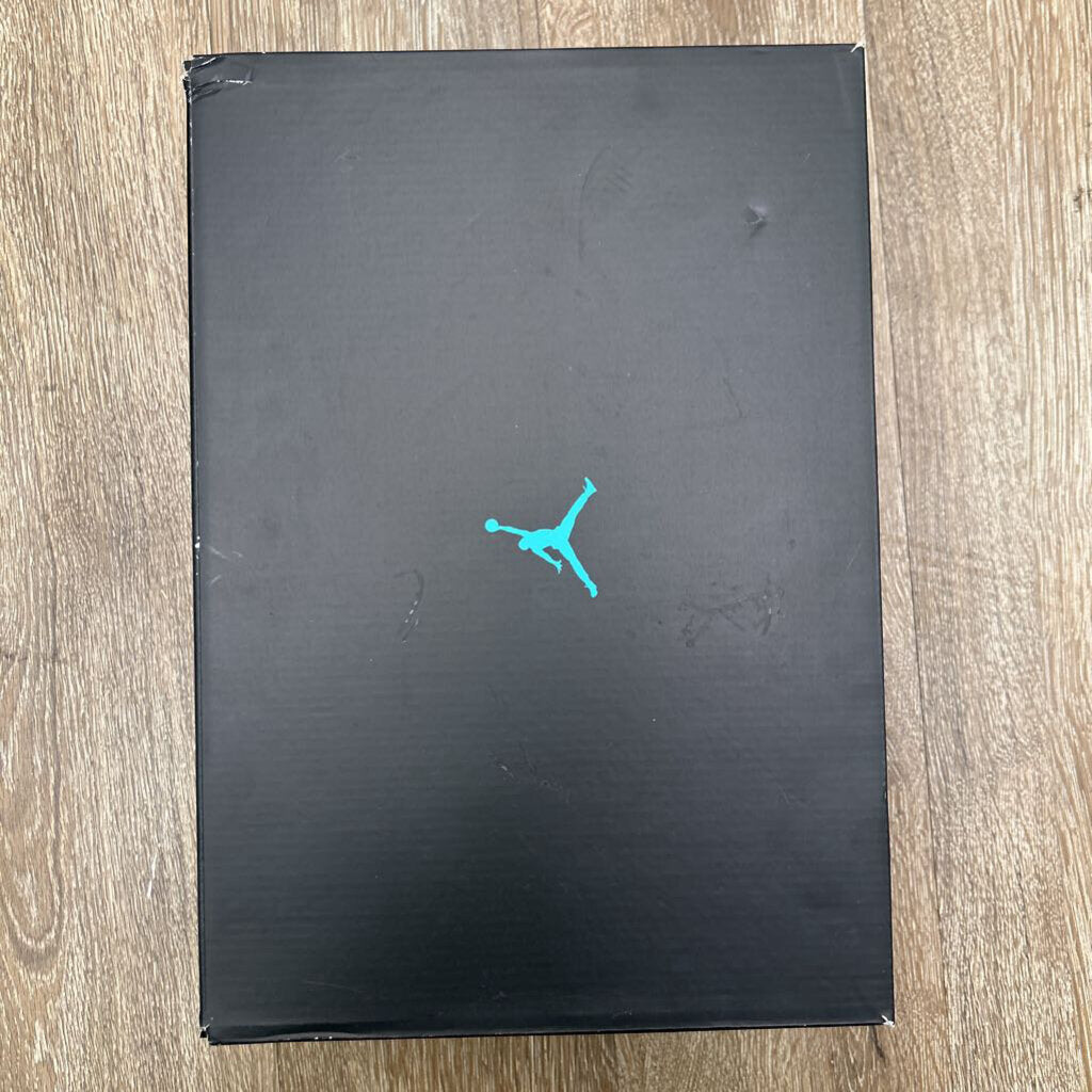 Preowned Jordan 11 Gamma Sz.8