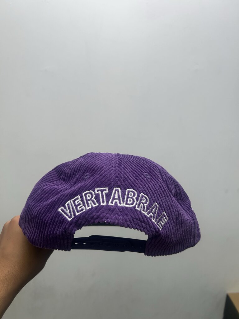 New Vertabrae Purple Cord Hat