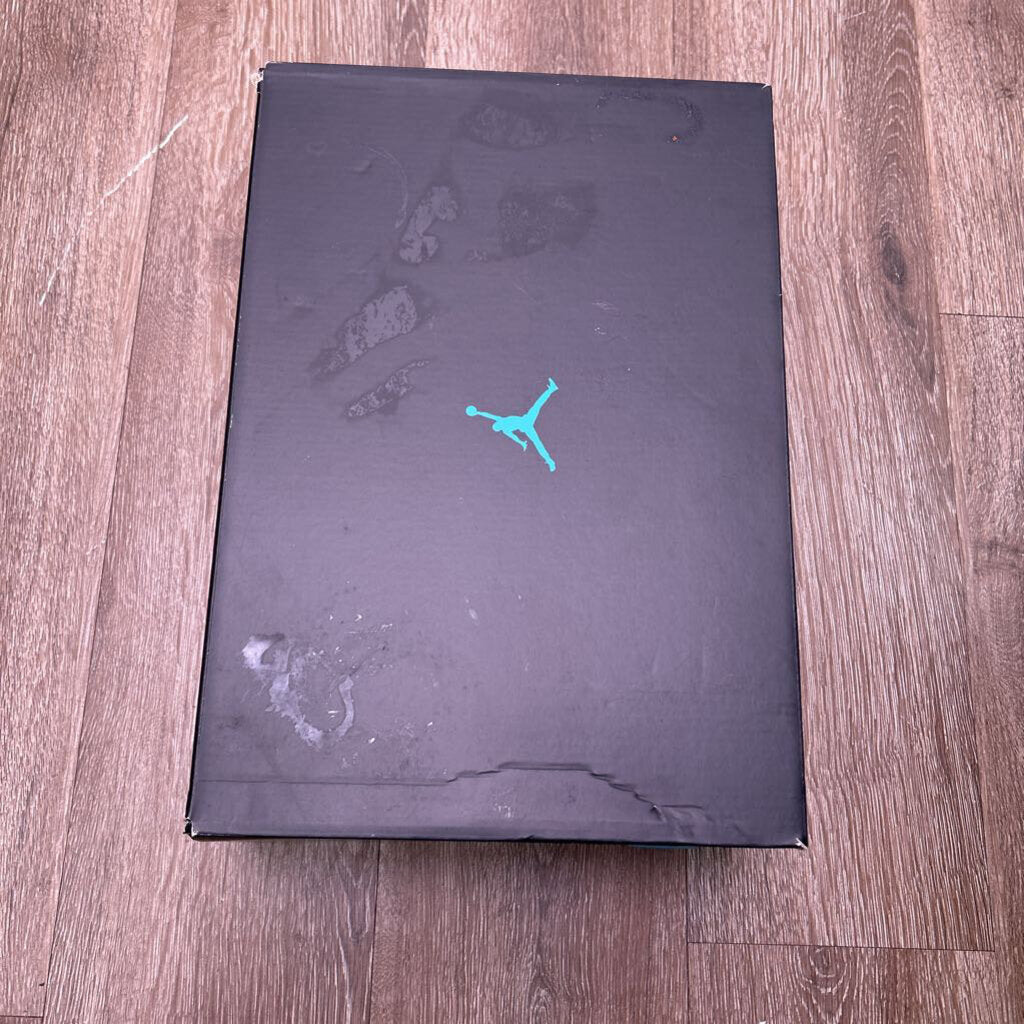 New Jordan 11 Gamma Size 9