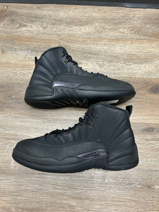 Preowned Jordan 12 Winter sz.10