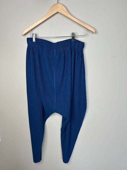Preowned Issey Miyake Blue Pants size 3 (M/L)