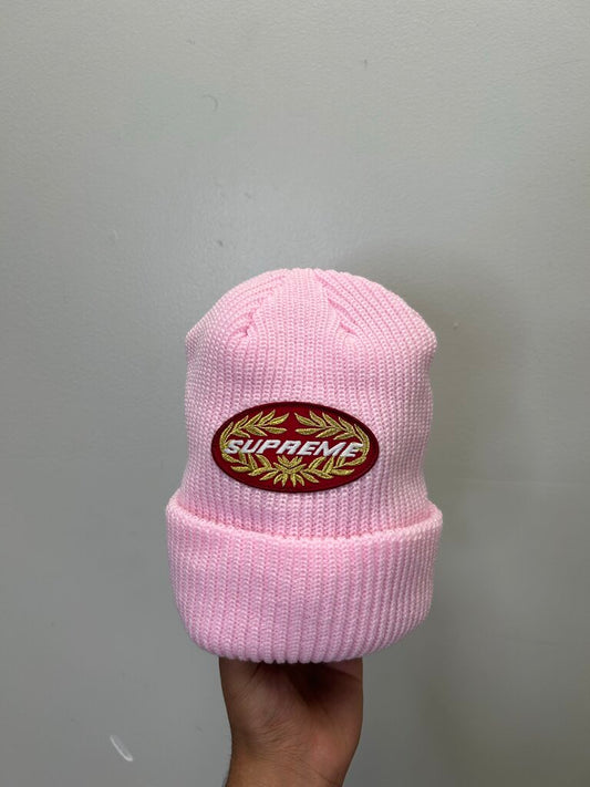 New Supreme Terminal Pink Beanie