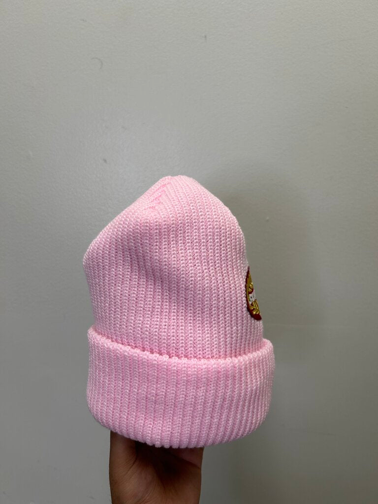 New Supreme Terminal Pink Beanie