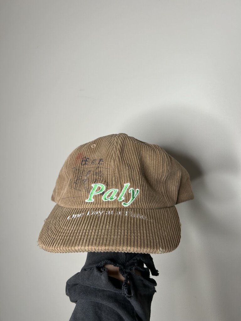 New Paly Brown Green One Day At A Time Hat