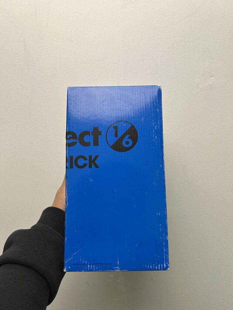 New Project 1/6 Bearbrick