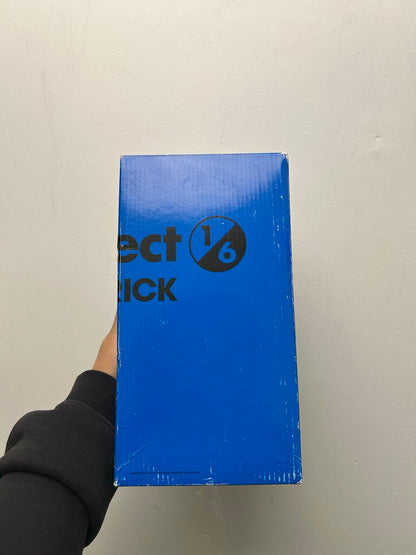 New Project 1/6 Bearbrick