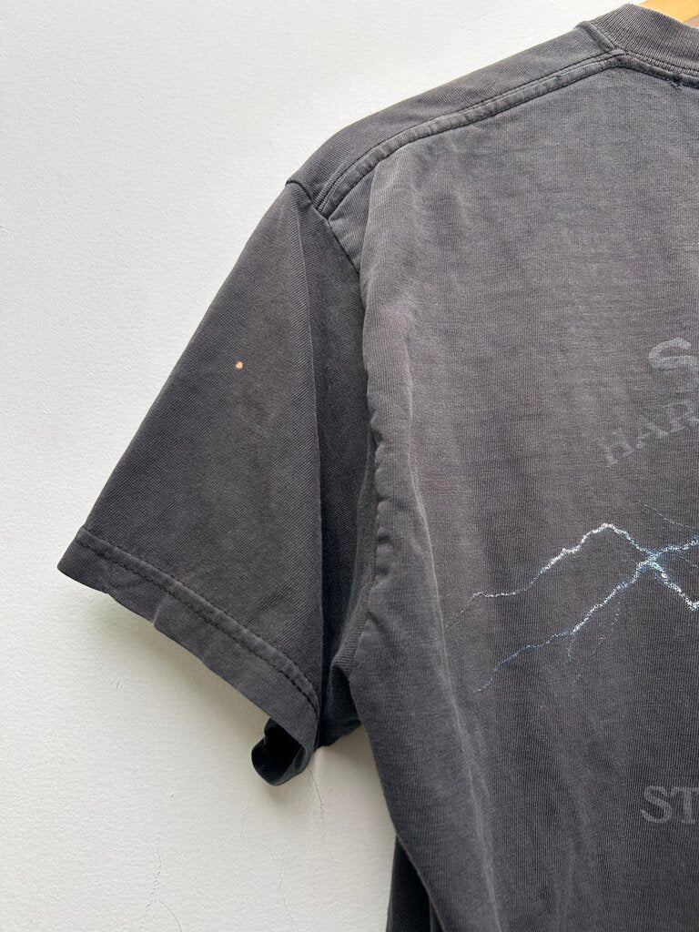 Harley Davidson Eagle PA Black Tee Size Medium