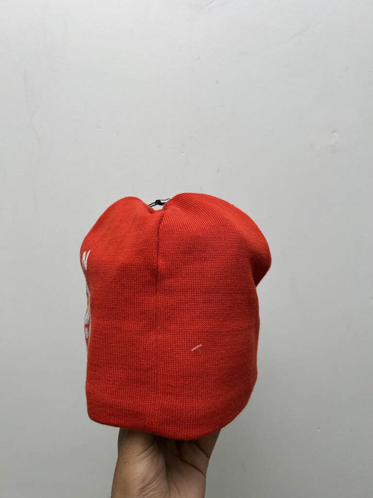 New Stussy Mountain Hardwear Red Beanie
