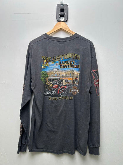 2011 Harley Davidson Skull Wing LongSleeve Grey Sz XL
