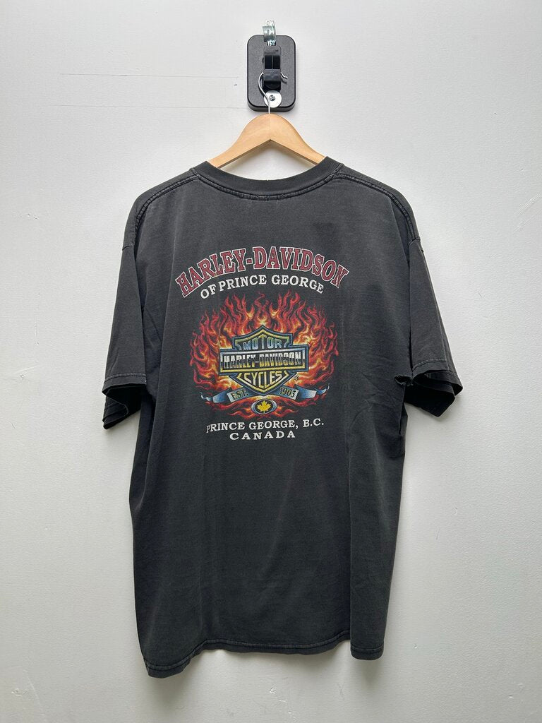Harley Davidson Canada Bear Distressed Tee Sz Xl