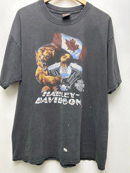 Harley Davidson Canada Bear Distressed Tee Sz Xl