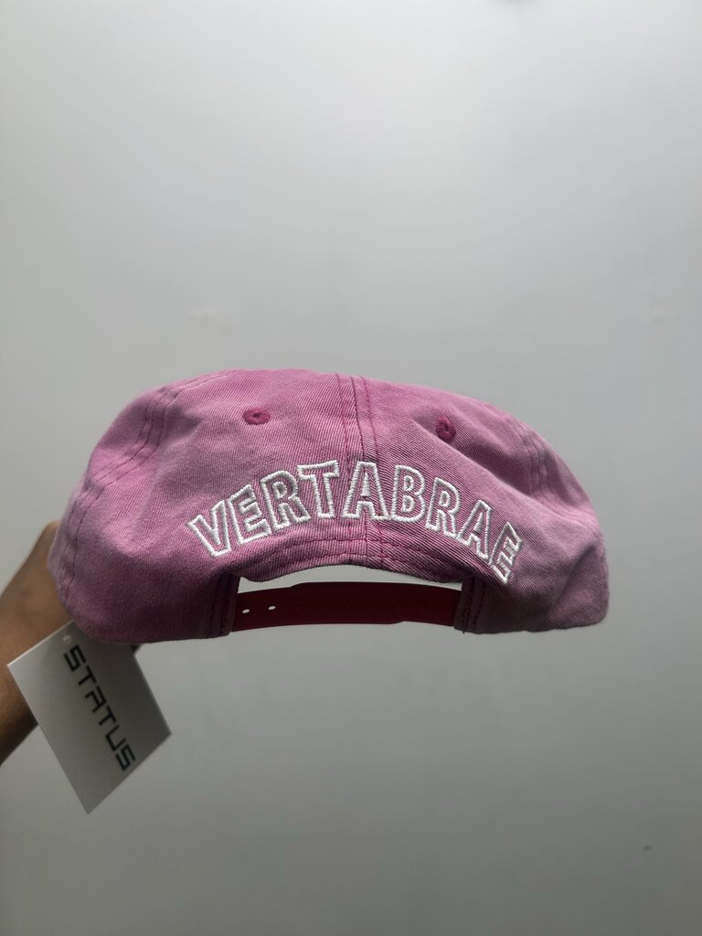 New Vertabrae White Pink Hat