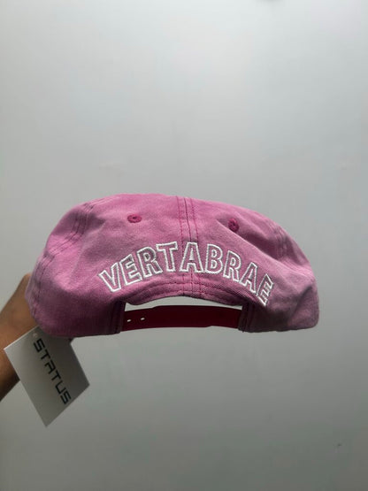 New Vertabrae White Pink Hat