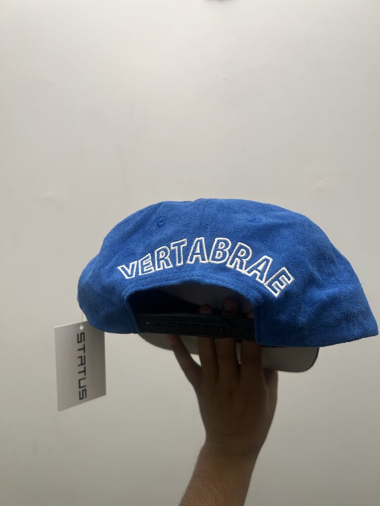 New Vertabrae Blue Suede Hat