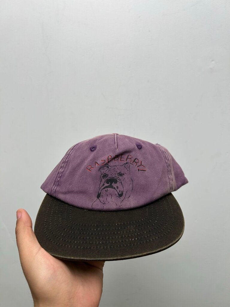 New Gv Gallery Bulldog Purple Hat