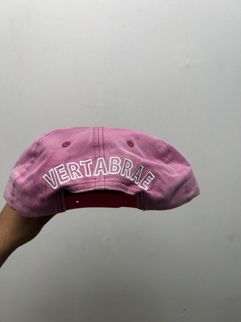 New Vertebrae Pink White Hat