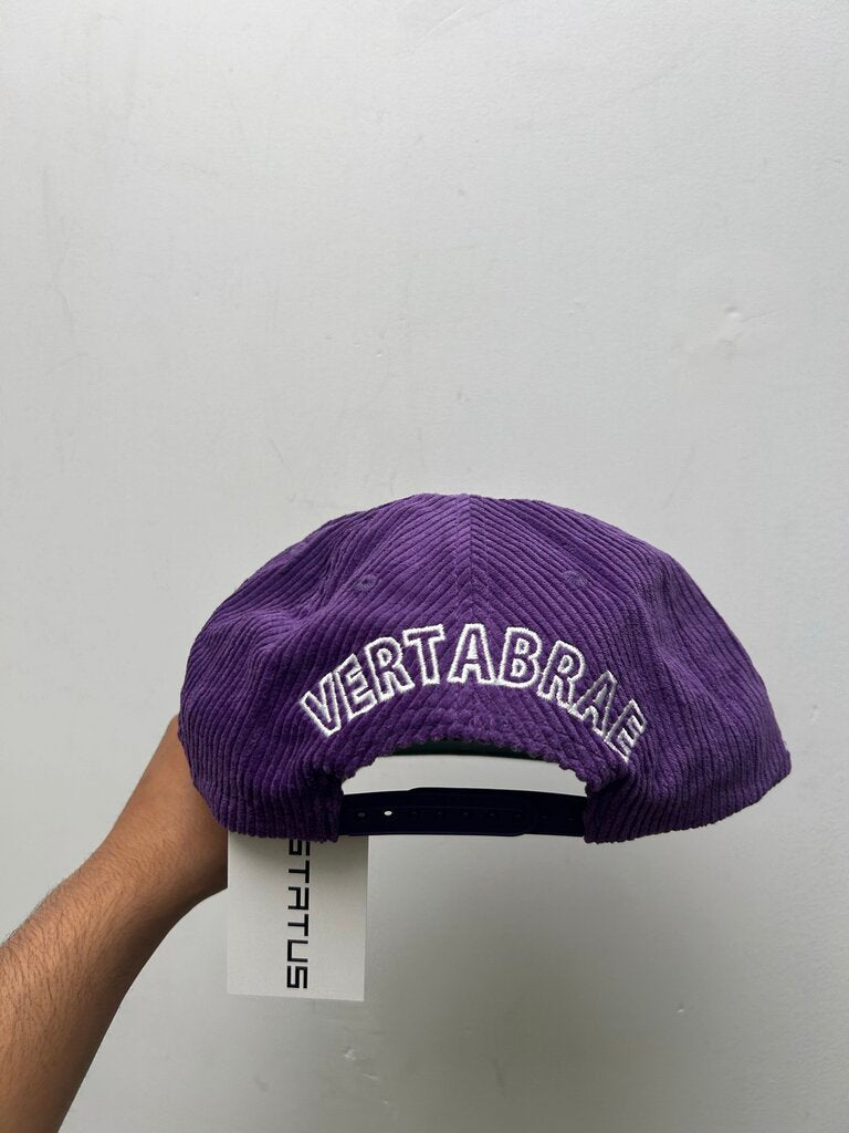New Vertebrae Purple White Cord. Hat