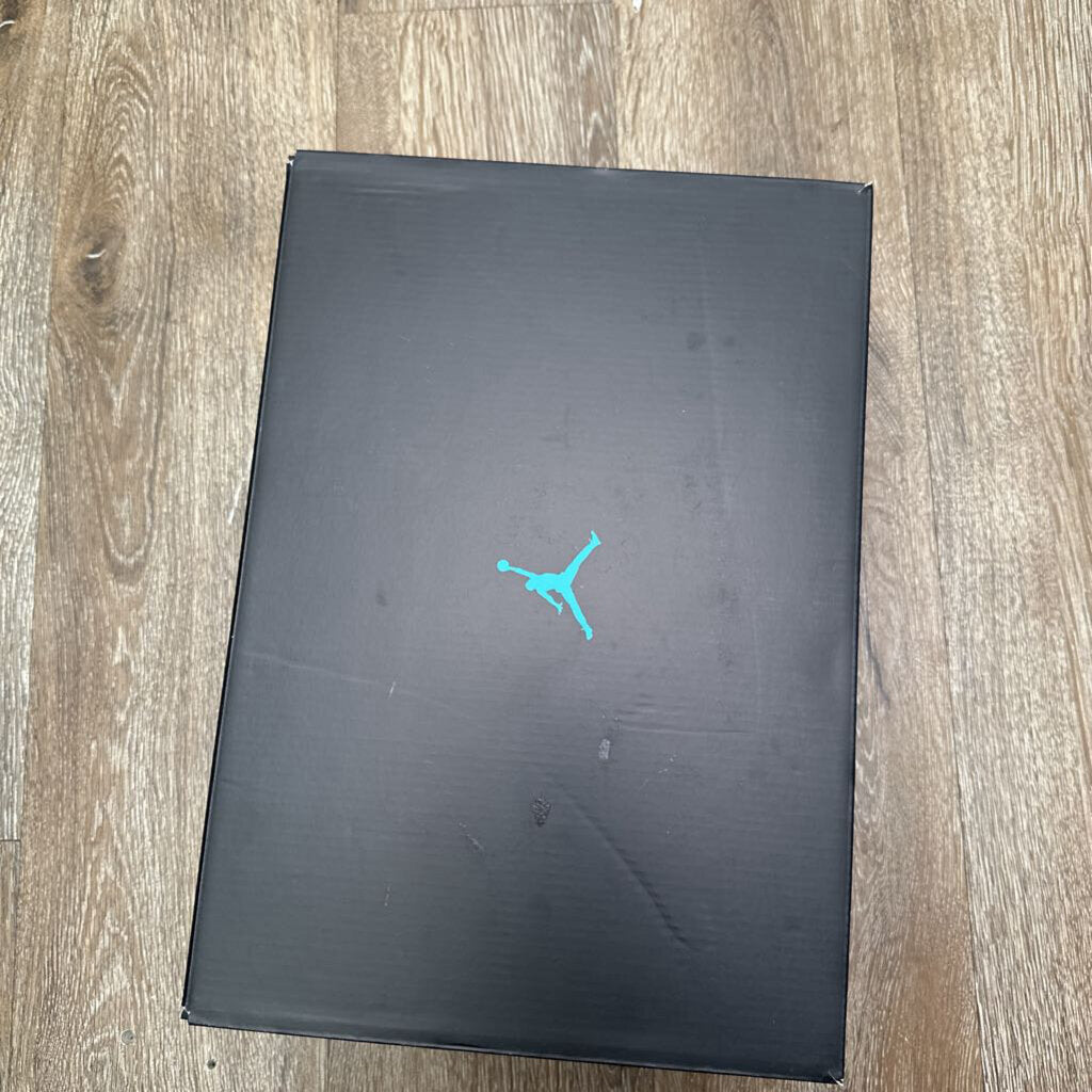 Preowned Jordan 11 Gamma Sz.9