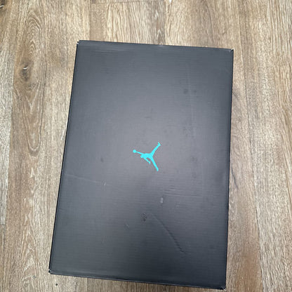 Preowned Jordan 11 Gamma Sz.9