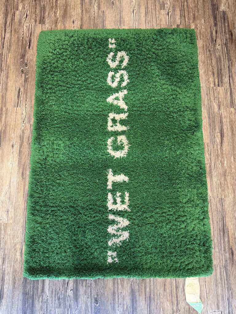 Preowned Ikea Virigl Wet Grass Rug