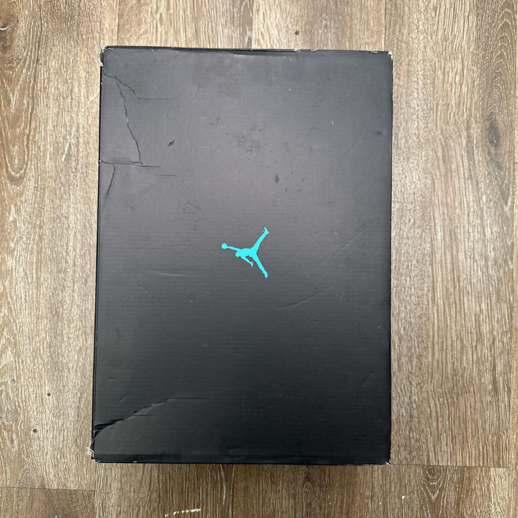 New Jordan 11 Gamma Size 10