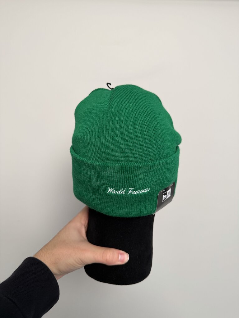 New Supreme Action Beanie Green