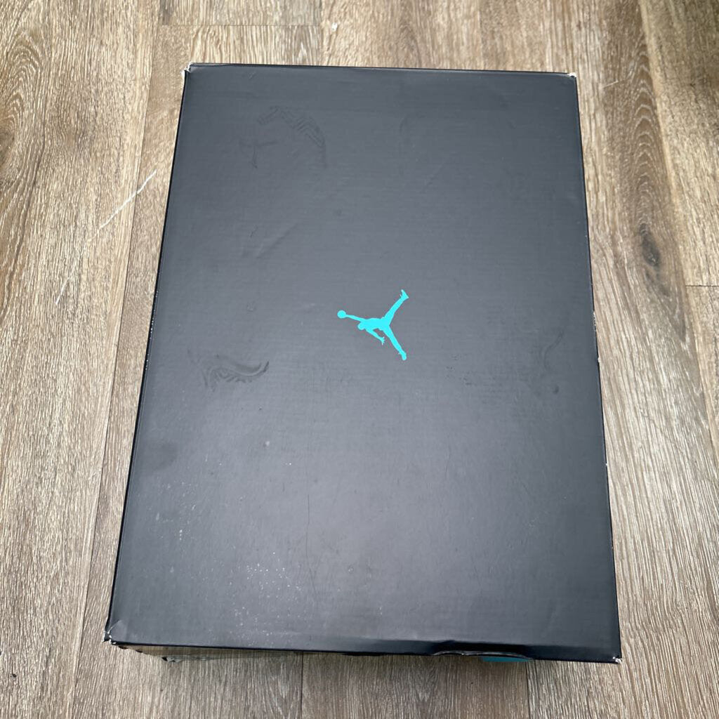Preowned Jordan 11 Gamma Sz.11.5