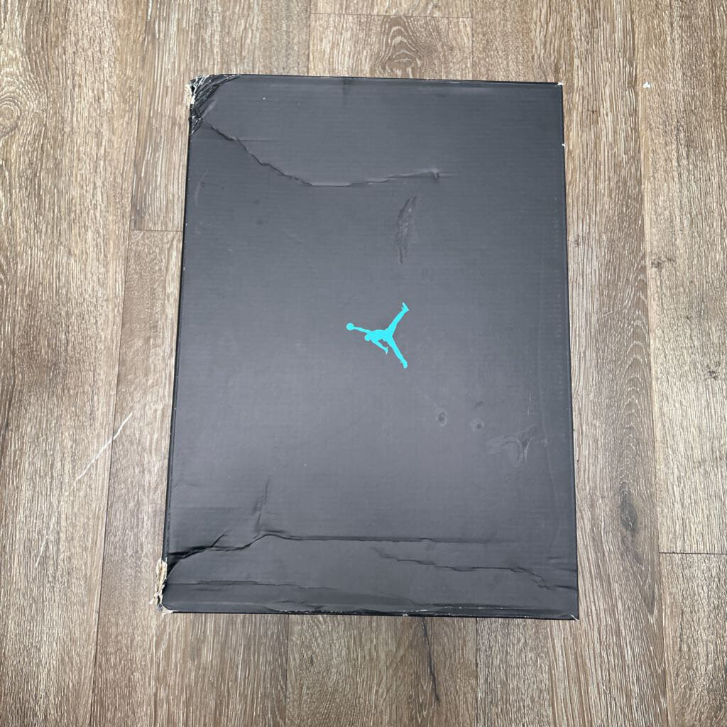 Preowned Jordan 11 Gamma Size 12