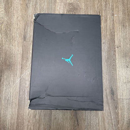 Preowned Jordan 11 Gamma Size 12