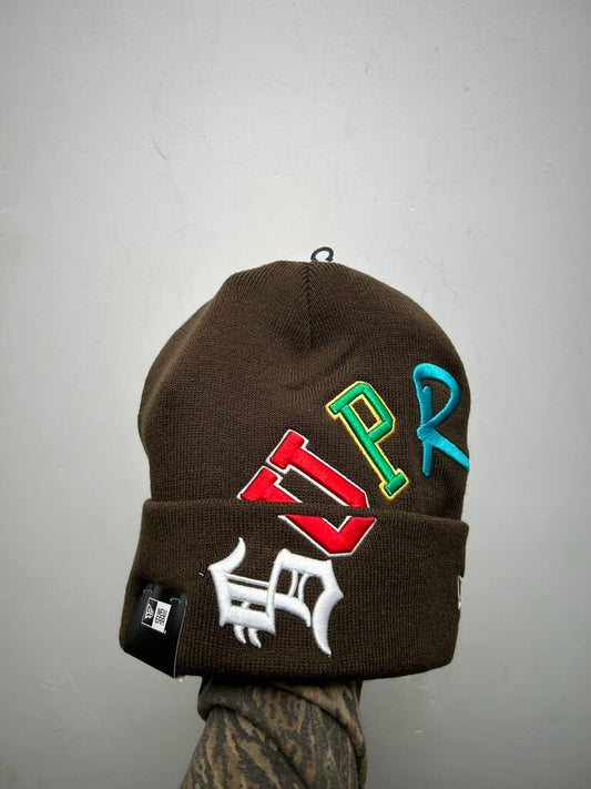 New Supreme Arc Logo Brown Multicolor Beanie