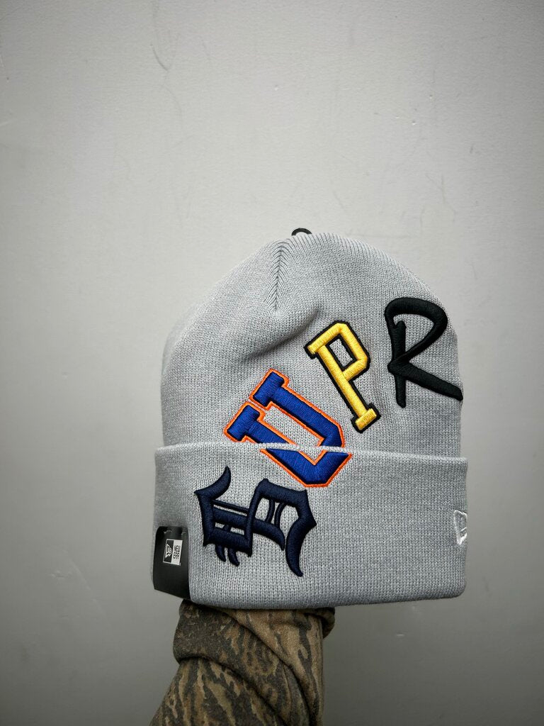 New Supreme Arc Logo Gray Multicolor Beanie