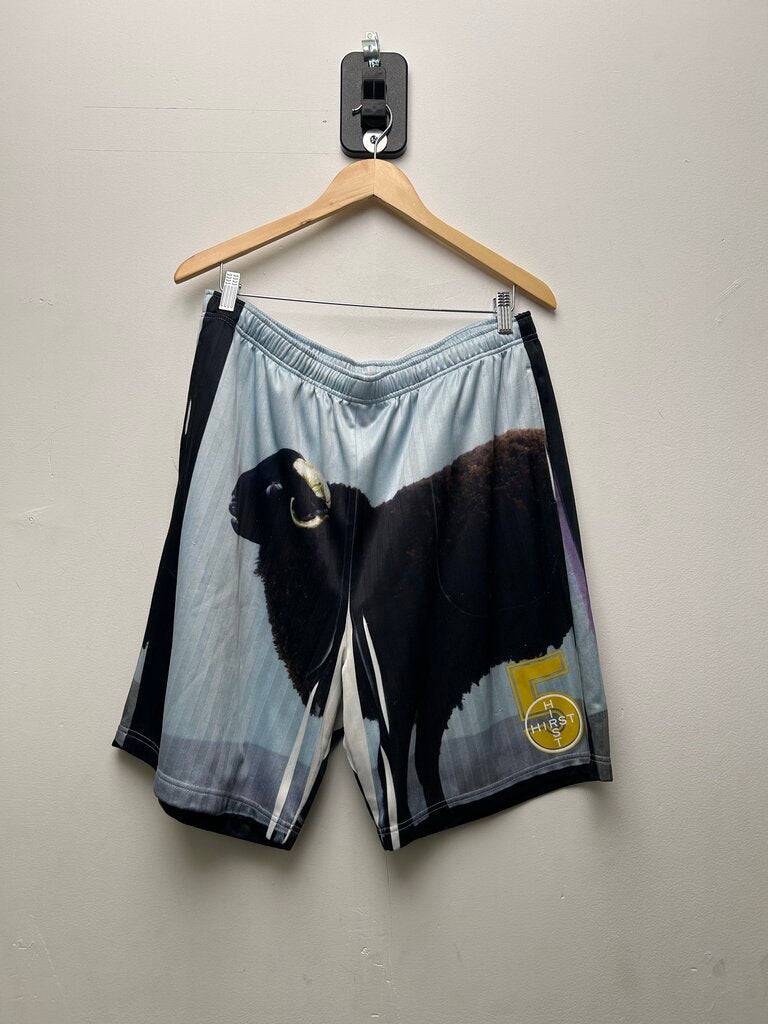 Preowned Supreme Damien Hirts Mesh Shorts Sz.Large