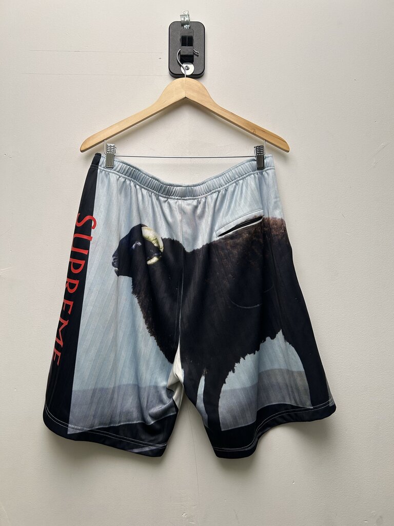 Preowned Supreme Damien Hirts Mesh Shorts Sz.Large