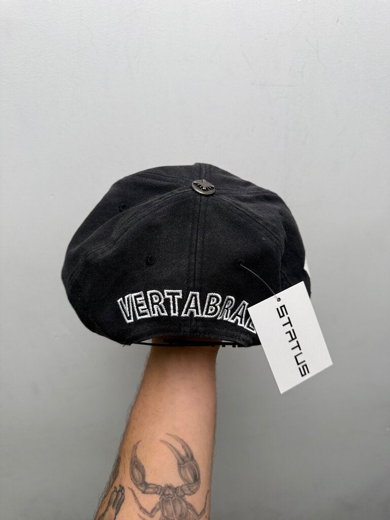 Preowned Verterbrae Faded Black Hat