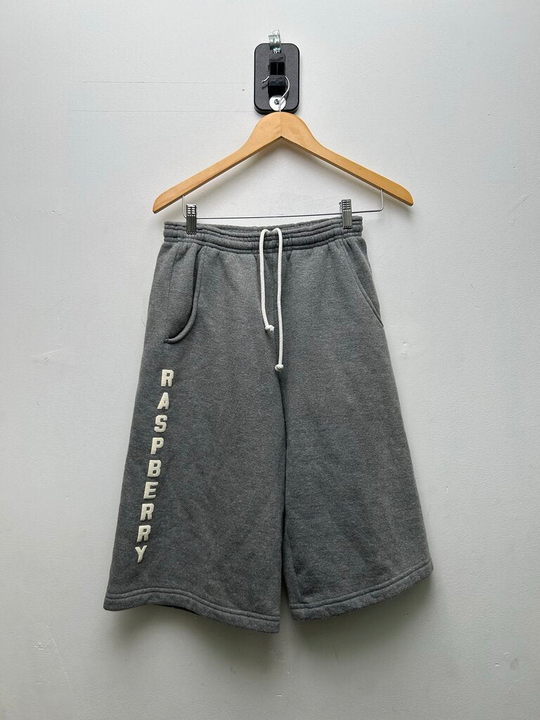 Preowned Gv Gallery Grey 3/4 Spellout Shorts Size XS